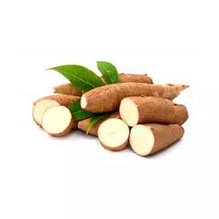 Yuca