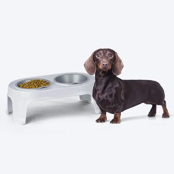 Comedero Alto Para Perro Pequeño | Ergonómico Y Resistente