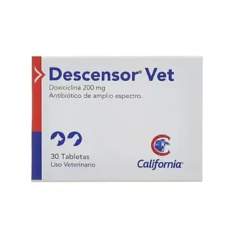 DESCENSOR X200