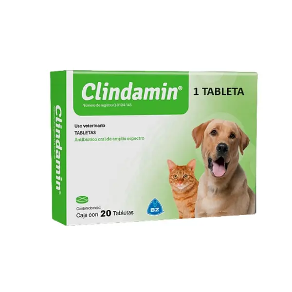 CLINDAMIN X TB