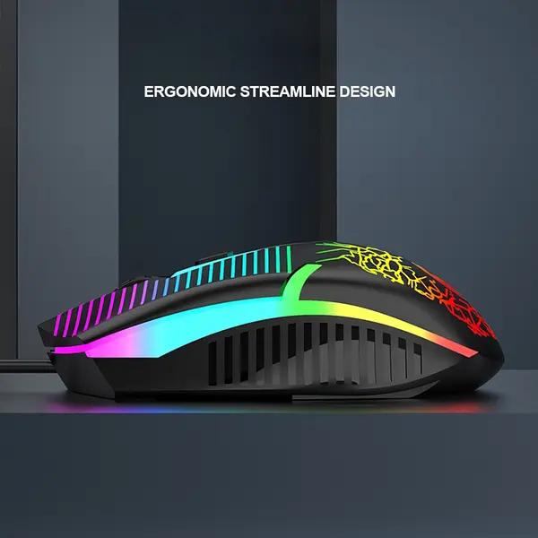 Mouse V2 Light