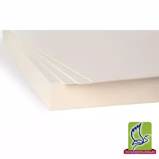 Carton Paja 1/4