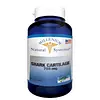 Shark Cartilage 750 Mg 90 Cápsulas System