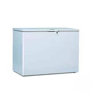 Congelador Challenger Ch363 Rec Dur Ab