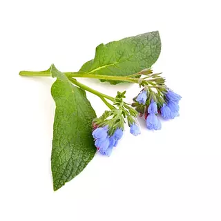 Suelda Consuelda